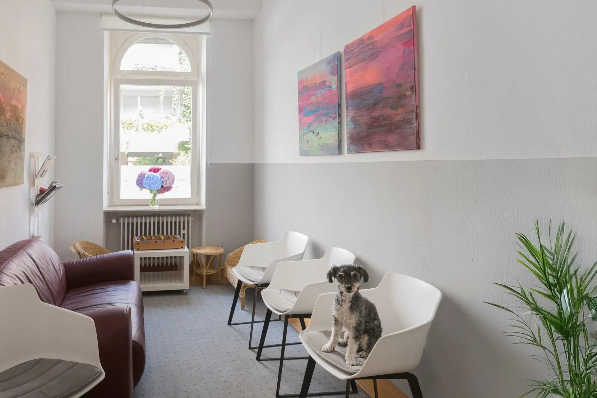 Arndt-Logopäd-Praxis-Barbara-2026-bestoff-web-11 Helles Wartezimmer mit Sitzgelegenheiten, abstrakten Gemälden, Pflanzen und einem kleinen Hund auf einem Stuhl.